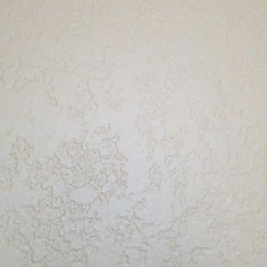 Meet your Posher, Bailey